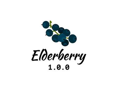 Elderberry 1.0.0 - Documentation