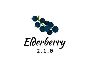 Elderberry 2.1.0 - Documentation